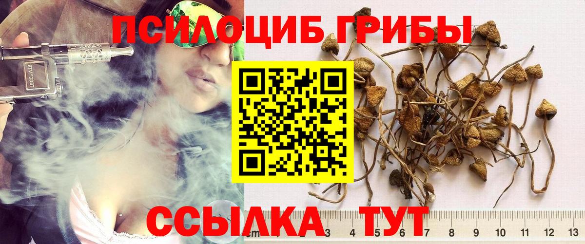 Псилоцибиновые грибы MAGIC MUSHROOMS  Вход с VPN  Куйбышев  Галлюциногенные грибы GOLDEN TEACHER 