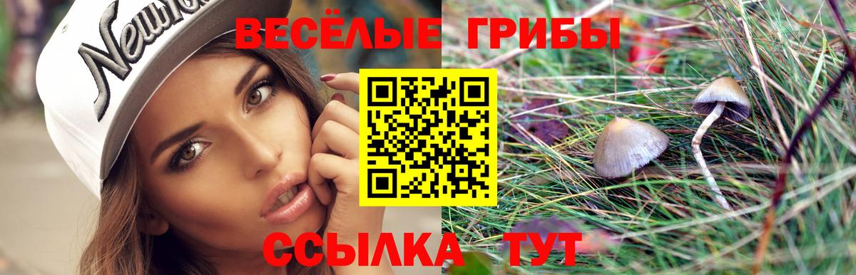 Псилоцибиновые грибы GOLDEN TEACHER Куйбышев